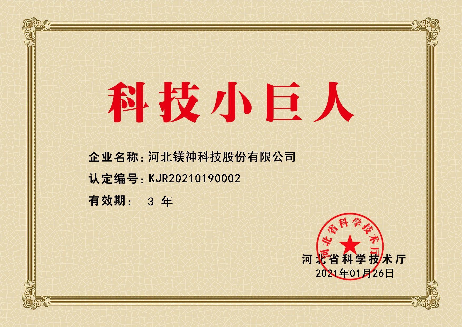 科技小巨人證書