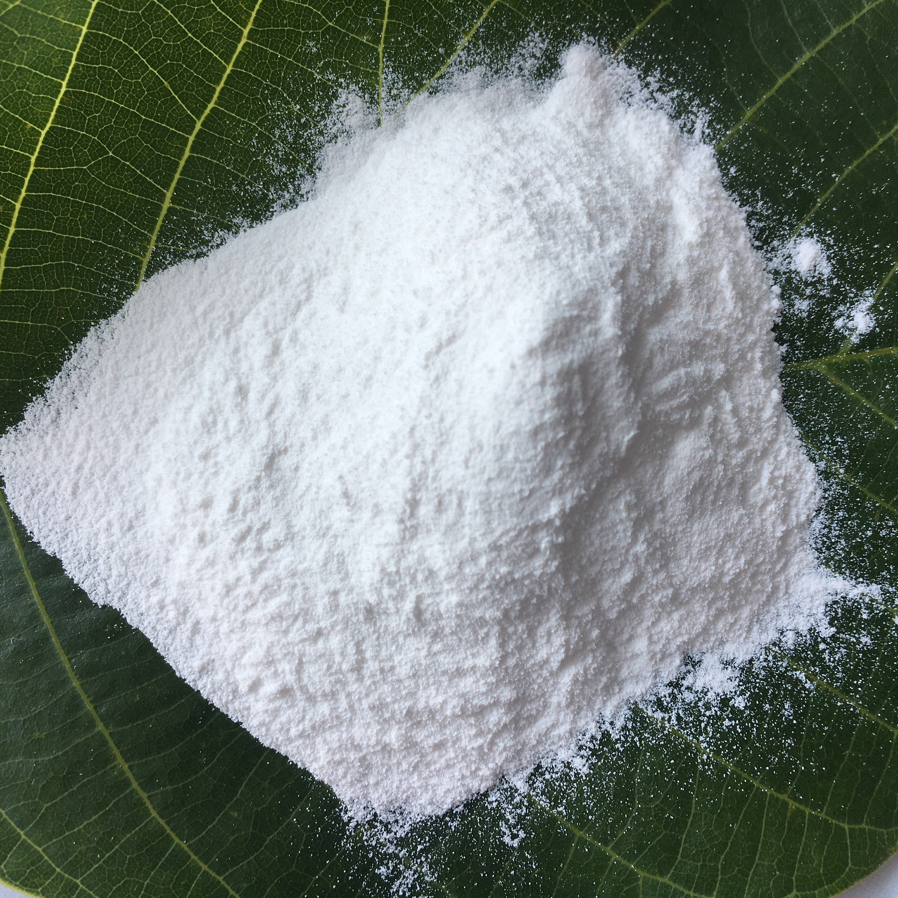 <a href='http://www.jqt7.com.cn' class='keys' title='點(diǎn)擊查看關(guān)于氧化鎂的相關(guān)信息' target='_blank'>氧化鎂</a>