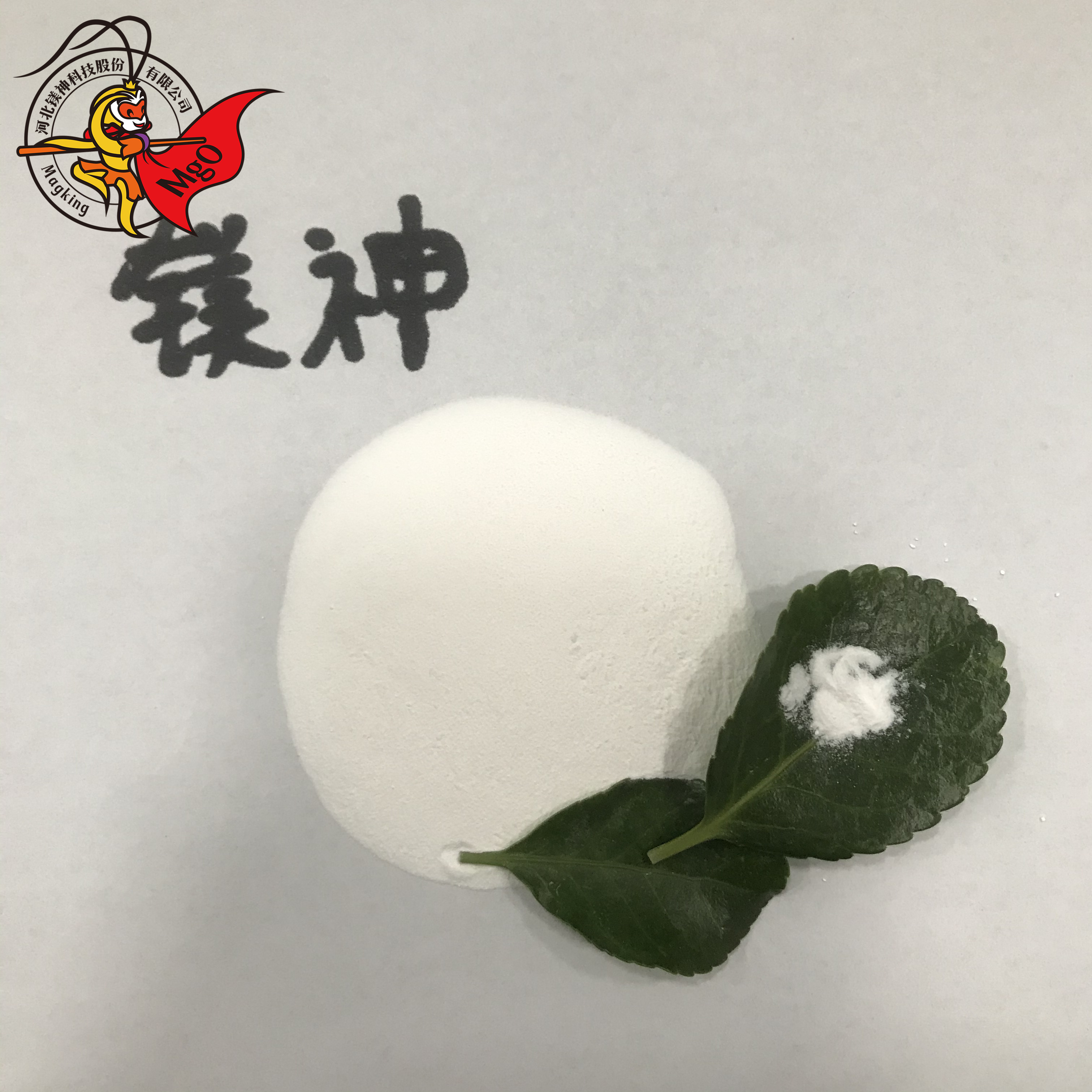 <a href='http://www.jqt7.com.cn' class='keys' title='點擊查看關(guān)于氧化鎂的相關(guān)信息' target='_blank'>氧化鎂</a>